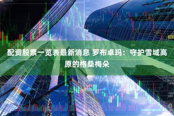 配资股票一览表最新消息 罗布卓玛：守护雪域高原的格桑梅朵