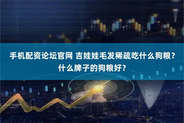 手机配资论坛官网 吉娃娃毛发稀疏吃什么狗粮？什么牌子的狗粮好？