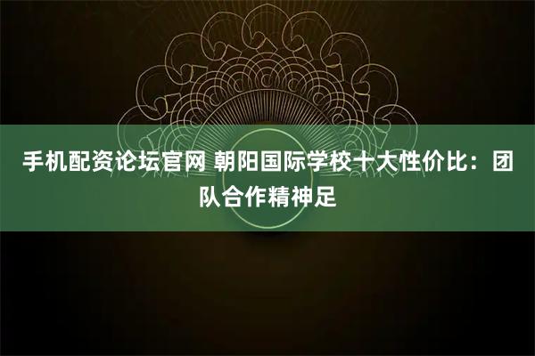 手机配资论坛官网 朝阳国际学校十大性价比：团队合作精神足